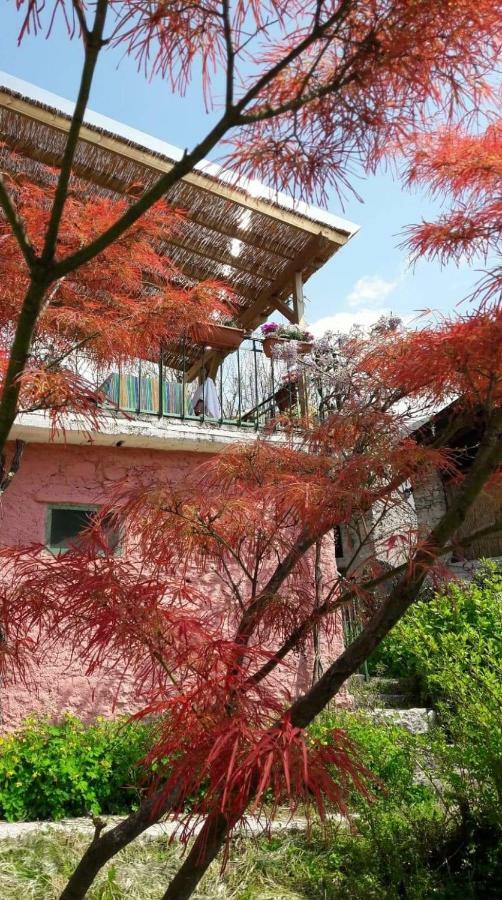 La Casa Rosa Di Segusino With Spa Jacuzzi In Garden Sequsino Dış mekan fotoğraf